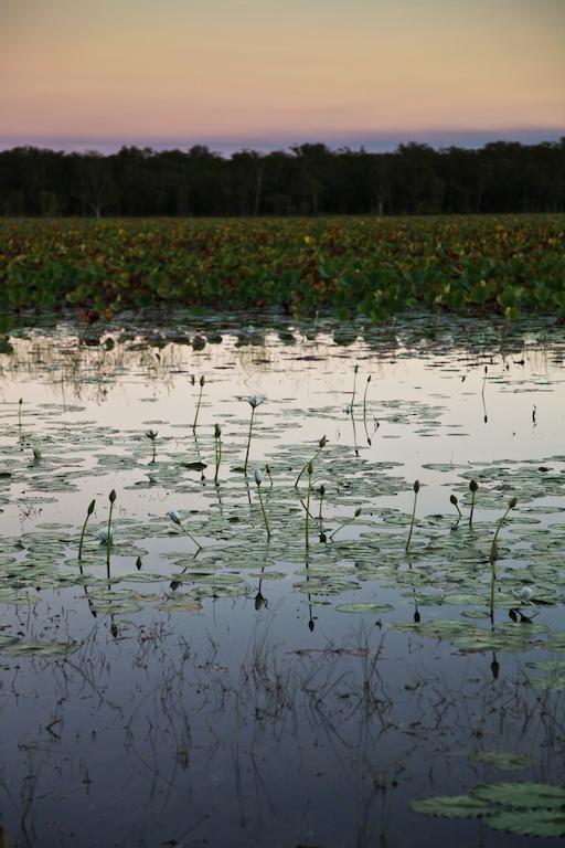 Aurora Kakadu Hotel Buitenkant foto
